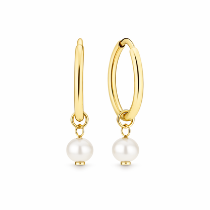 Delia Aretes Blasón | Oro